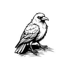 Intricate vector illustration depicting a solitary raven perched providing an illustrative and