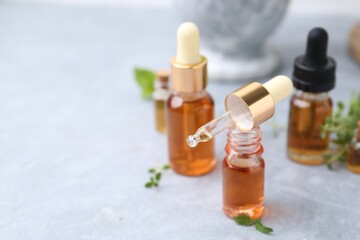 Bottles of aromatic essential oils and herbs on light grey table, closeup. Space for text