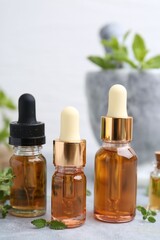Bottles of aromatic essential oils and herbs on light grey table, closeup