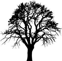 Tree Silhouette Vector Art