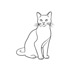 Cat Drawing Line Vector Png Transparent Background