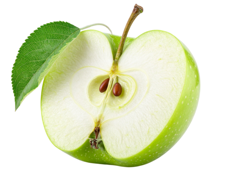 Flat Vector Half Apple Illustration with Bold Outline, Minimal Modern Style, Isolated Transparent Background PNG