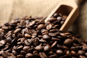Aromatic coffee beans and scoop in burlap bag, closeup