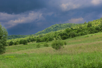 Fototapeta premium ​A wide panoramic view of a green hill covered with a forest and lush vegetation. A stormy sky with dark, heavy clouds looms overhead, creating a dramatic contrast.