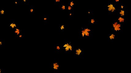 colorful autumn maple leaves falling isolated alpha channel 4k animation, realistic leaf on transparent background, thanksgiving and Halloween social media motion design element - Powered by Adobe