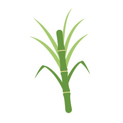 vector green bamboo isolated on white