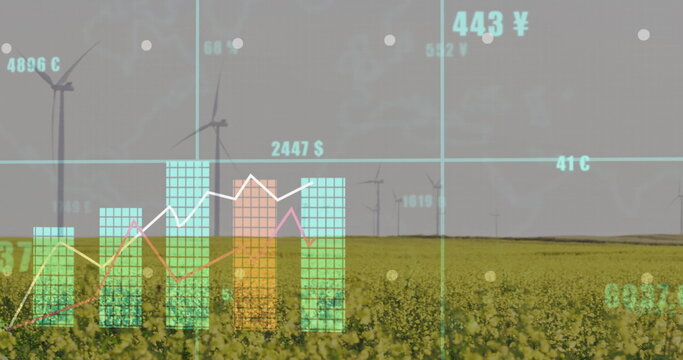 Displaying bar graphs and line charts merging at wind farm with yellow flowering field and turbines