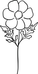 Wildflower vector outline clipart, line art elegant botanical element