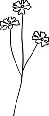 Wildflower vector outline clipart, line art elegant botanical element