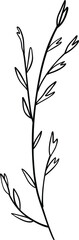 Wildflower vector outline clipart, line art elegant botanical element