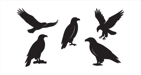 4 eagle silhouettes on white background