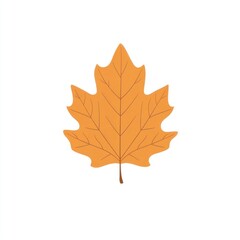 Fototapeta premium Autumn hickory leaf illustration simple fall.