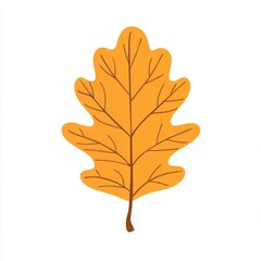 Obraz premium Autumn reniform leaf illustration simple fall.