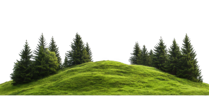 A group of evergreen trees on a lush green hill isolated on transparent background