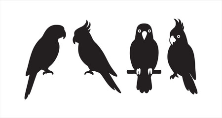 Parrot Silhouettes on white background