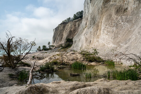 M&oslash;ns Klint - Steilk&uuml;ste 