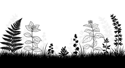 Botanical Garden Silhouette with Ferns, Herbs, and Grass, Natural Landscape Element on Isolated White Background