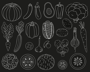 Collection of hand drawn white line art vegetables on a black background