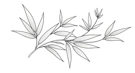 Minimalist line art of graceful bamboo branches with slender leaves, conveying a serene Asian mood and natural elegance on an isolated white background.