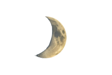 crescent moon with yellow and dark hues, against a white void, and a simple, direct aesthetic.