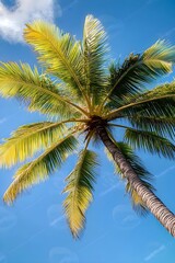 Tropical palm tree against vivid blue sky