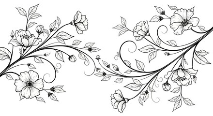 Graceful line art of a flowering branch with small blossoms and delicate leaves, creating an elegant floral border design on an isolated white background.