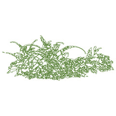 botanical twigs with small flowers and leaves in elegant line style color background