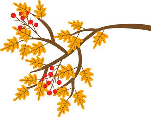 Obraz premium 노란색으로 물들은 단풍나무에 빨간색 열매가 달림