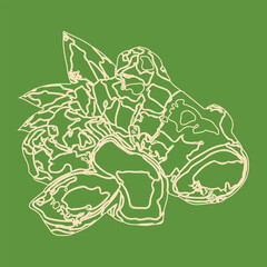 Tree for architectural floor plans. Entourage design. Various trees, color background