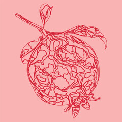 Hand drawn vector pomegranate linocut illustration color background