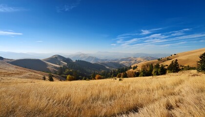 Naklejka premium scenic view of gentle hills and far off peaks beneath a bright blue sky dotted with golden grasses and scattered trees