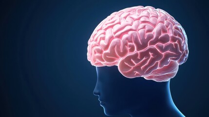 Fototapeta premium Mental A glowing brain hologram over a person head, symbolizing intelligence and cognition.
