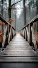 Obraz premium Timber pedestrian bridge in forest with railings