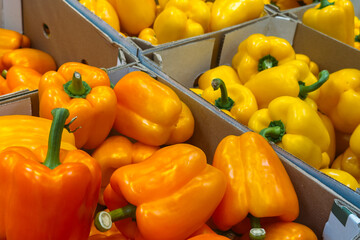 Close-up of fresh yellow and orange bell peppers packed in cardboard boxes at a market. Seasonal vegetables, farm-to-table, sustainable farming, local produce