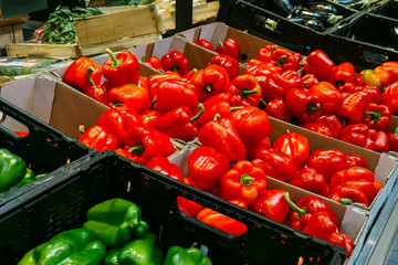 Boxes of fresh red and green bell peppers displayed at a produce market. Plant-based nutrition, vegan diet, whole food eating, clean lifestyle