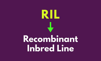 RIL Meaning, Recombinant Inbred Line