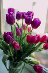 Glass vase with vibrant pink and purple tulips on a windowsill. Beautiful spring flowers and daylight create a romantic and cheerful mood, perfect for home decor, floral arrangements, and celebration