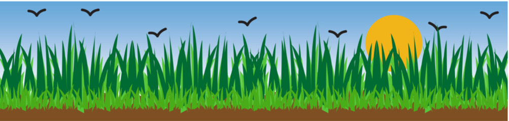 Green grass field with the sun shining. Natural view of green grass and Sky With Crow Vector illustration.