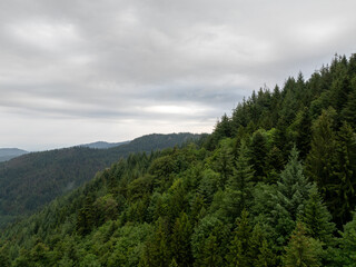 Scenic view of a dense evergreen forest blanketing the rolling hills of Buhl, Germany, with a cloudy sky creating a tranquil atmosphere