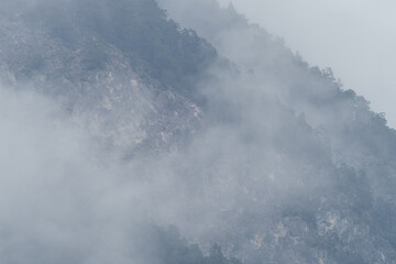 Misty mountain landscape with dense fog drifting through evergreen forest, enveloping slopes in ethereal light