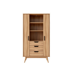 Modern Wooden Cabinet with Shelves and Drawers for Storage Solution