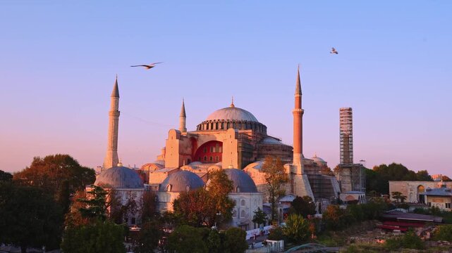flying birds over hagia sophia at sunset &ndash; rooftop view in istanbul