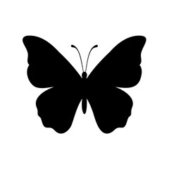 Fototapeta premium Monochrome silhouette of butterfly with gracefully shaped wings and slender antennae