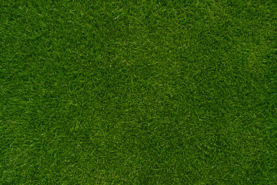 Green Manicured Lawn Shot from Above