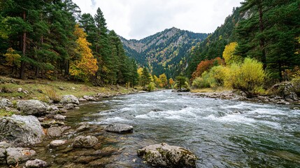 Mountain river with forest trees and autumn foliage in scenic valley with rocky shore and hills