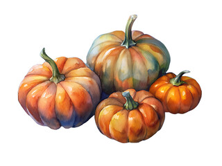 Obraz premium Watercolor Datterino Pumpkins Illustration – Artistic Autumn Harvest Painting