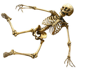Funny Skeleton Breakdancing on One Hand, Side Angle, isolated on transparent background PNG