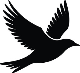 Silhouette of a bird in flight with wings spread wide