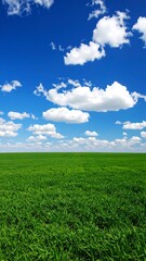 Obraz premium Vast green field under a vibrant blue sky