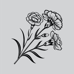 Carnation Modern Botanical Line Drawing
